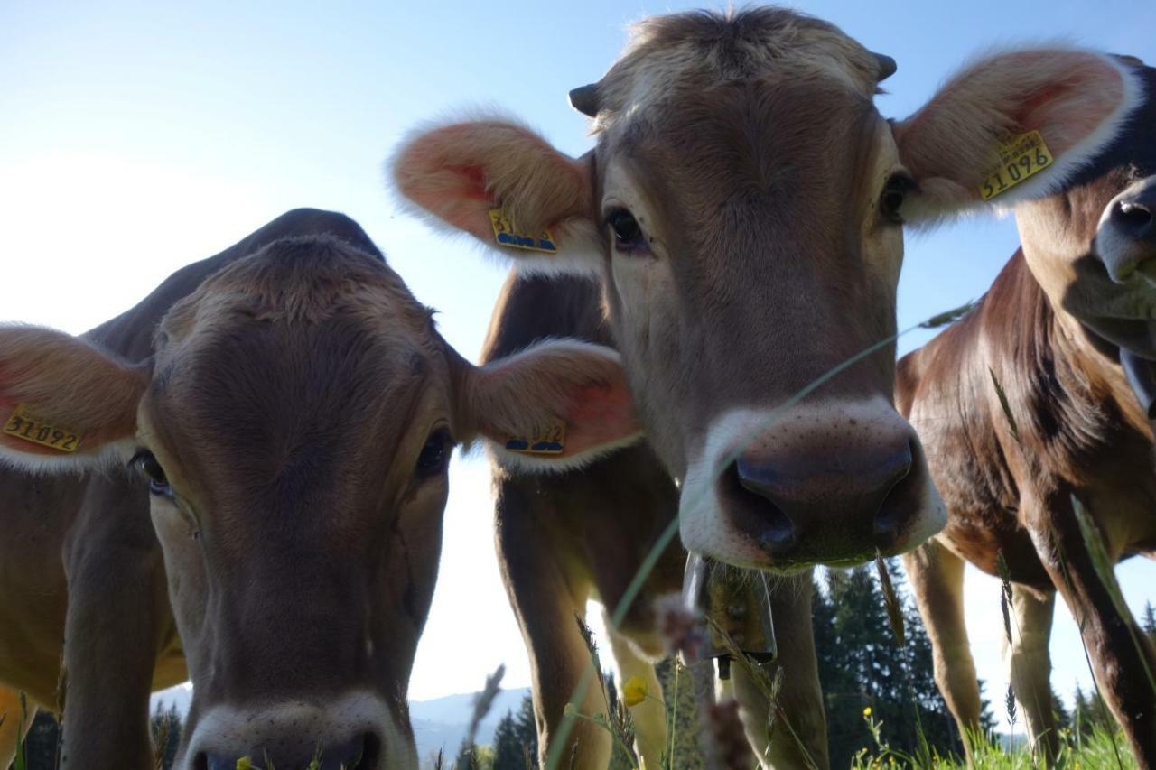 Ferienwohnungen Bernie Schmid Sonthofen Luaran gambar
